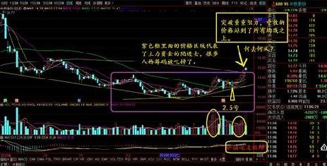 中牧股份最新消息,中牧股份最新消息全面解析