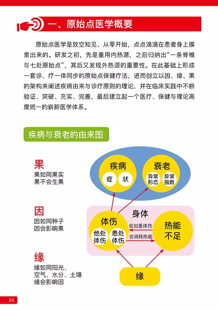 原始点最新案例,原始点最新案例，探索医学奇迹的足迹