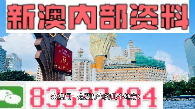 2024年新澳门王中王免费,探索新澳门，王中王免费体验的独特魅力与未来展望（2024年）