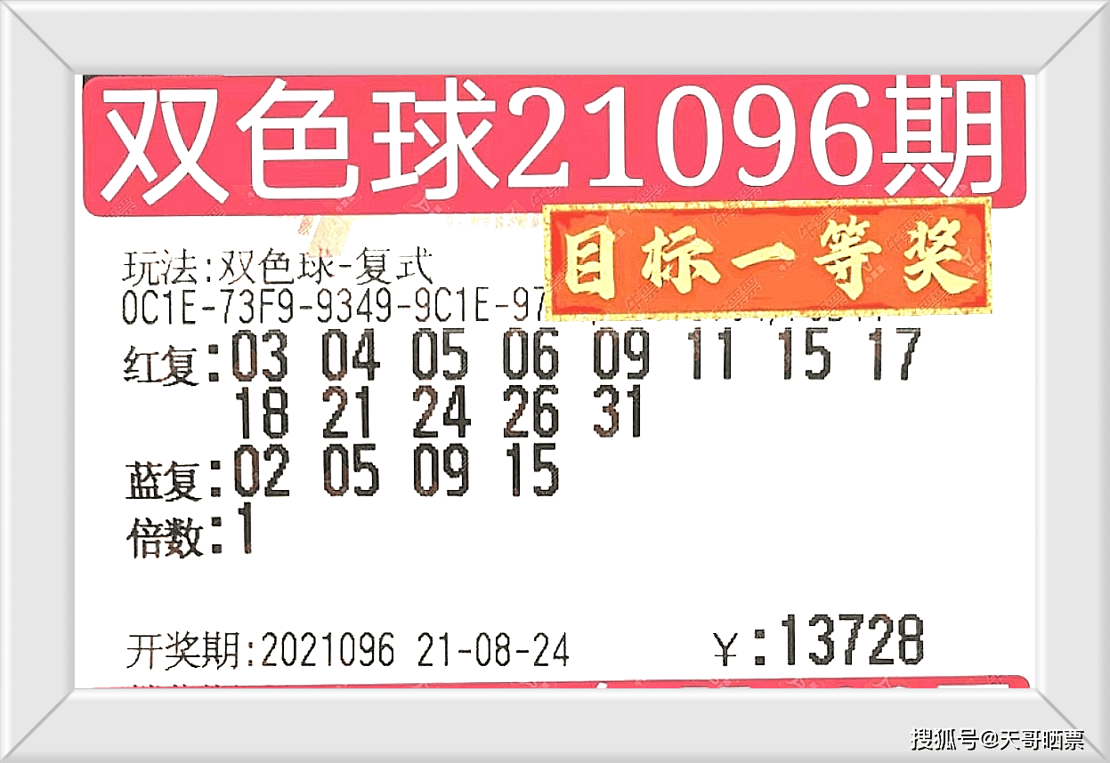 2024新奥今晚开奖号码,揭秘新奥彩票，今晚开奖号码预测与彩票文化深度探讨